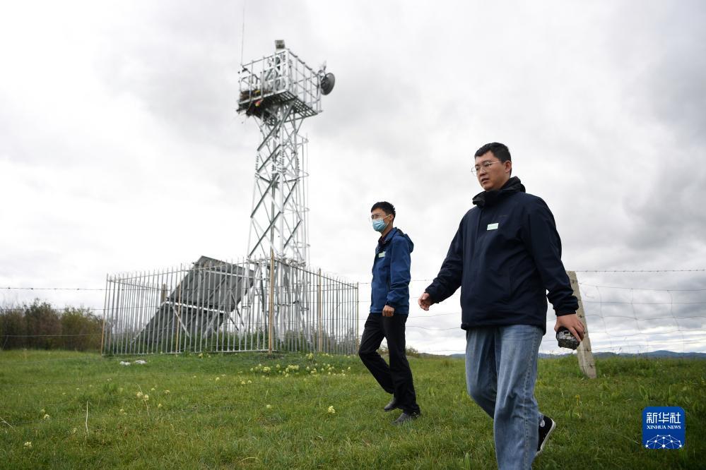 柚子夺宝金币提到什么地方